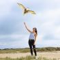 Bird Kite Eagle