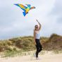 Bird Kite Isfugl