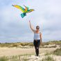 Bird Kite Kolibri