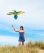 Bird Kite Kolibri