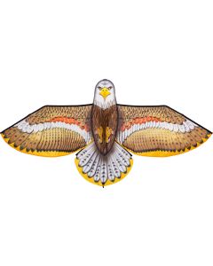 Bird Kite Eagle