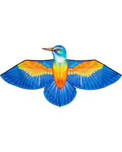Bird Kite Isfugl