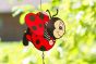 Ladybug Twist