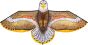 Bird Kite Eagle