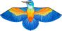 Bird Kite Isfugl