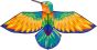 Bird Kite Kolibri