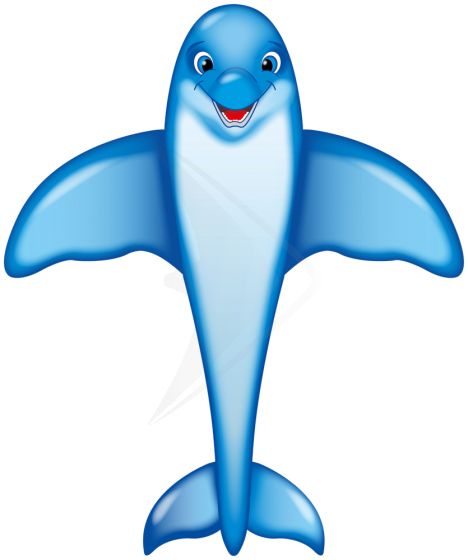 Delfin Kite 200 cm