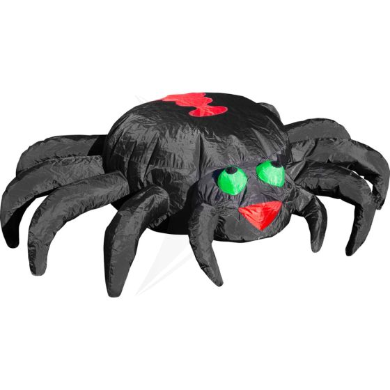 Bouncing Buddy Spider