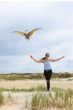 Bird Kite Eagle