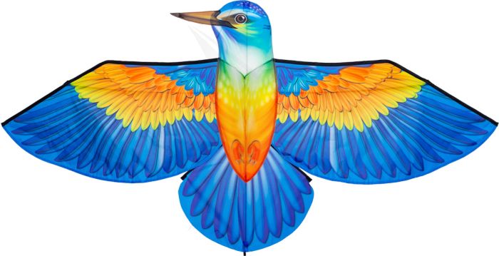 Bird Kite Isfugl