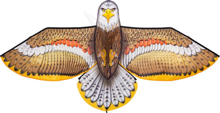 Bird Kite Eagle