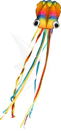 Rainbow Octopus drage